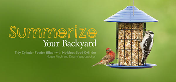 Wild Birds Unlimited Nature Shop - 229119 