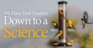 feeder sale